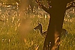 Sonnenuntergang