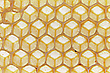 Die Natur als Baumeister Wildbau der Honigbiene