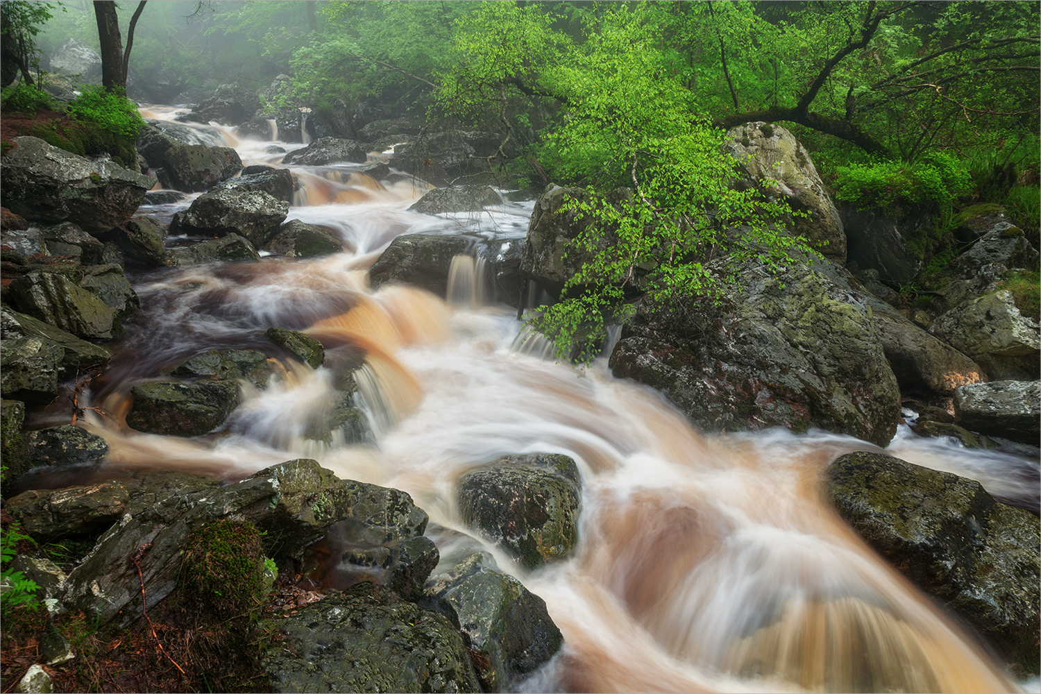 Moorwasser