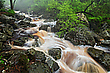 Moorwasser
