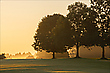Morgenlicht
