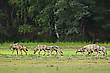 Familienausflug