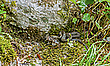 Erfolgreiche Jagd