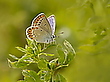 In der Wiese gelandet