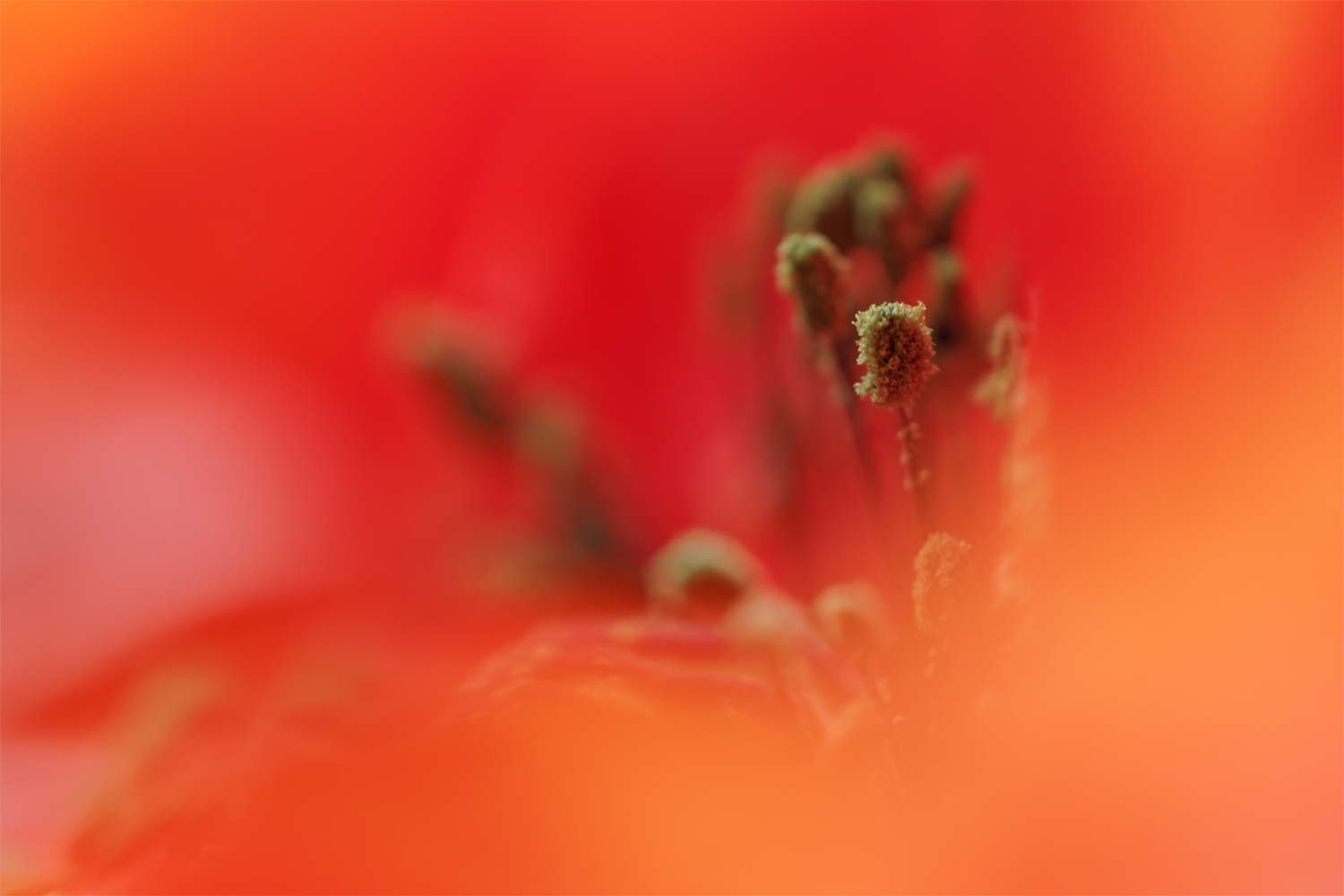 Rot-Variationen