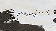 Vollgas