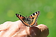 Unerwarteter Besuch
