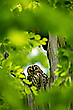 Durchblick
