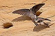 Anflug/Abflug