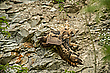 Flugübungen ? Nr.III