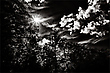 Sonne und Wolken