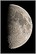 Mond