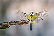 -- Anflug --