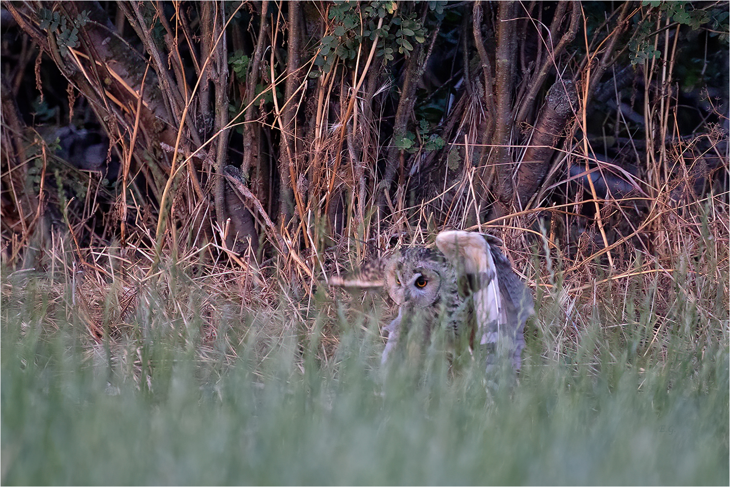 „Gestern Abend II“