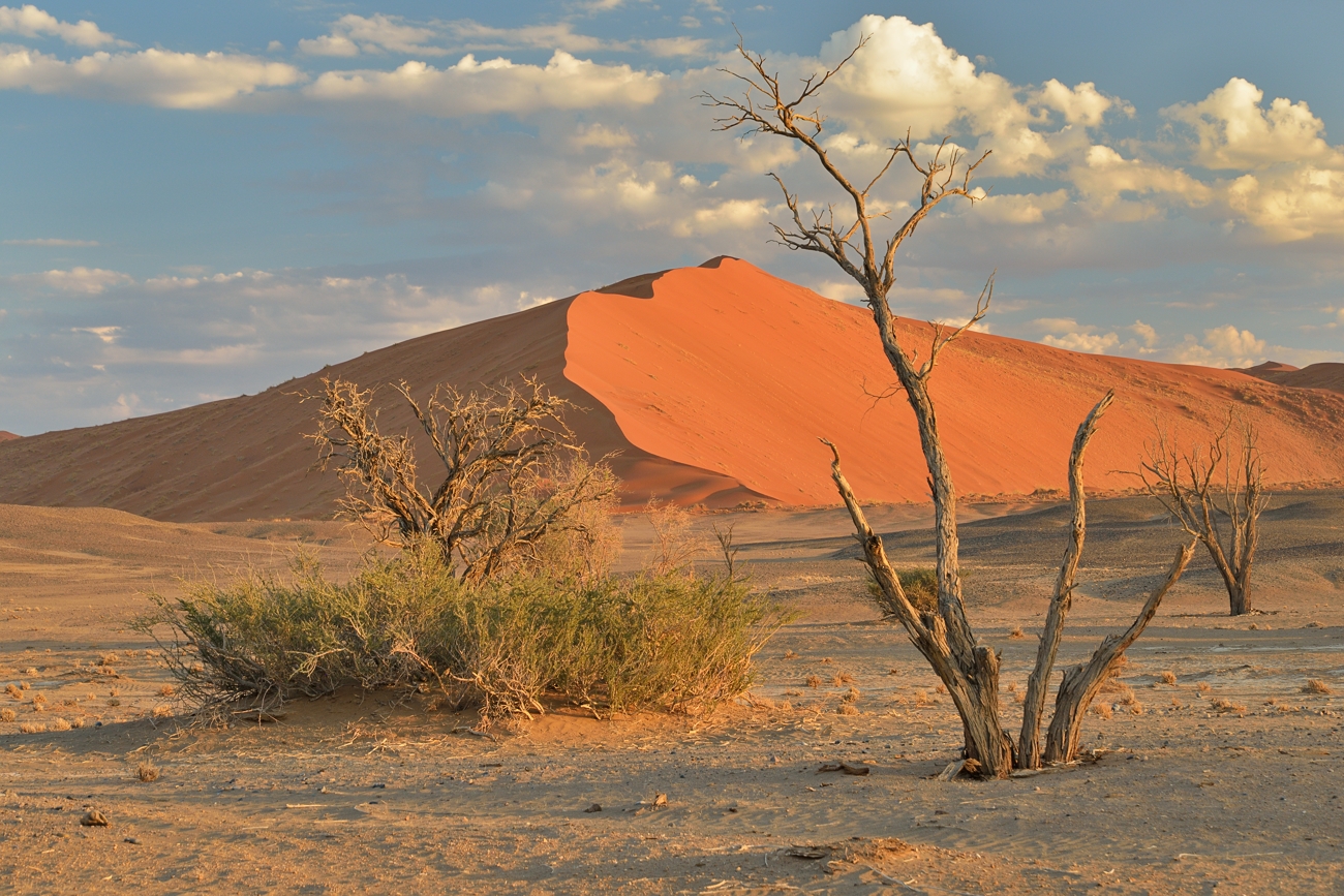 Namib früh am morgen