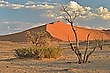 Namib früh am morgen