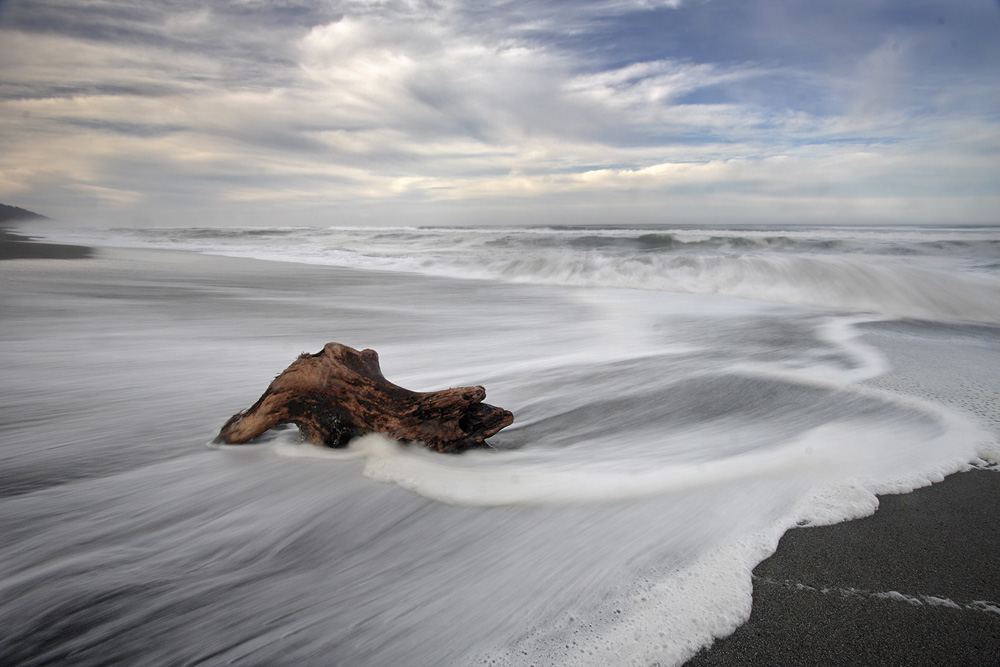 GOLD BLUFFS BEACH, REDWOOD N.P.