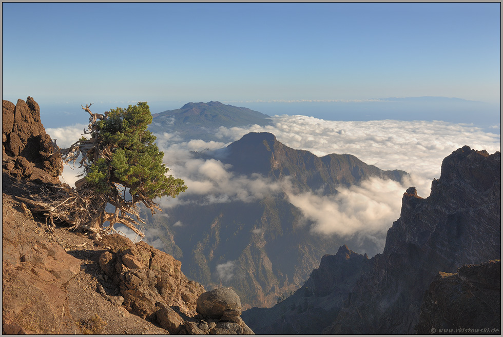 über den Wolken... Außenrand der Caldera *La Palma*