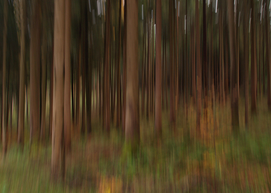 ~ Herbstwischer  ~