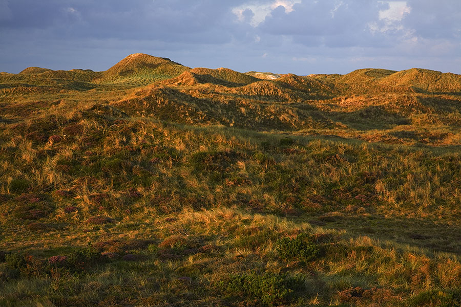 Sonnenaufgang in den Dünen.