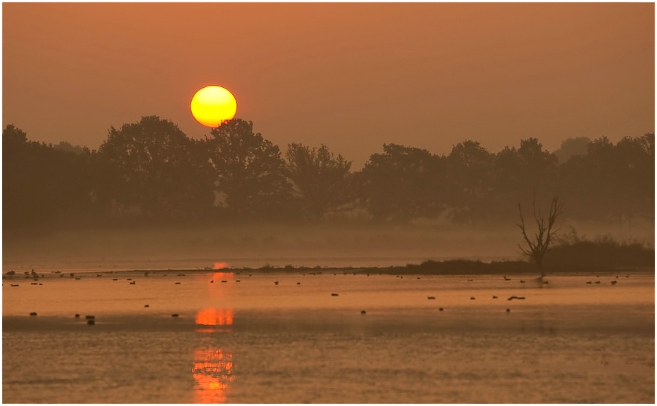 Sonnenaufgang (Neu)