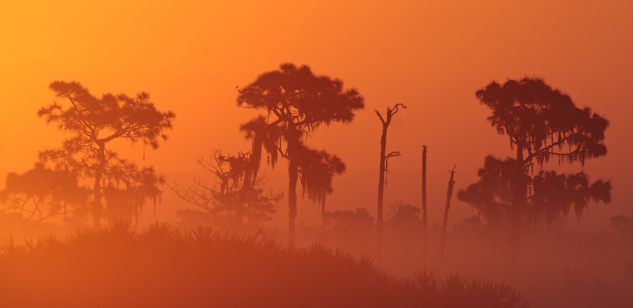 Morning glow