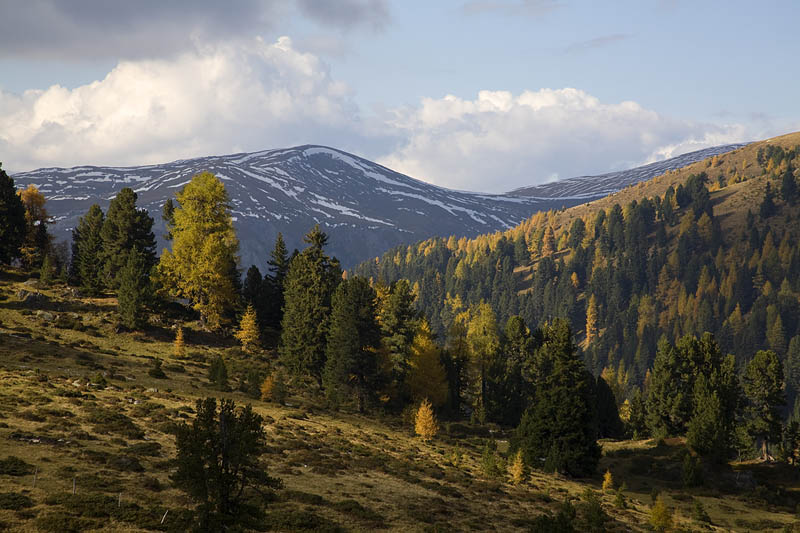 Nockberge im Herbst