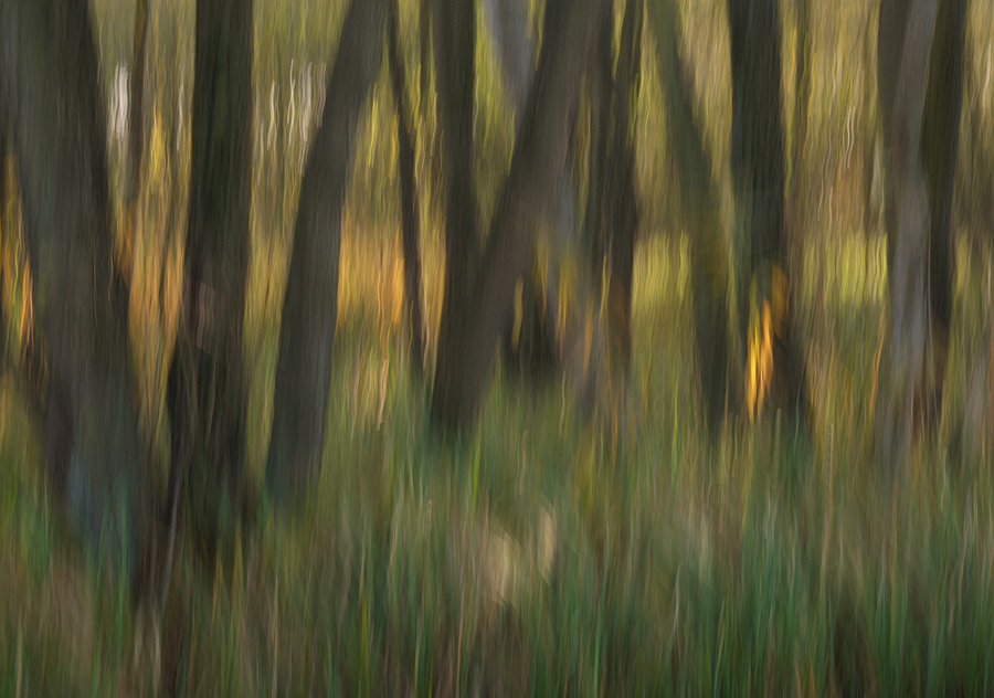 ~ Herbstwischer II ~
