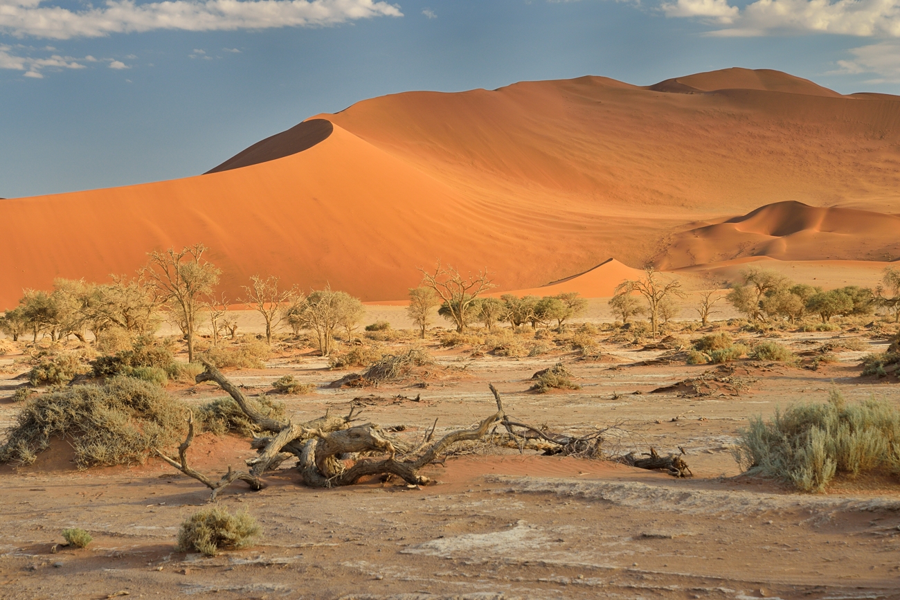 Namib ftüh am morgen (2)