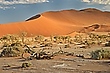 Namib ftüh am morgen (2)