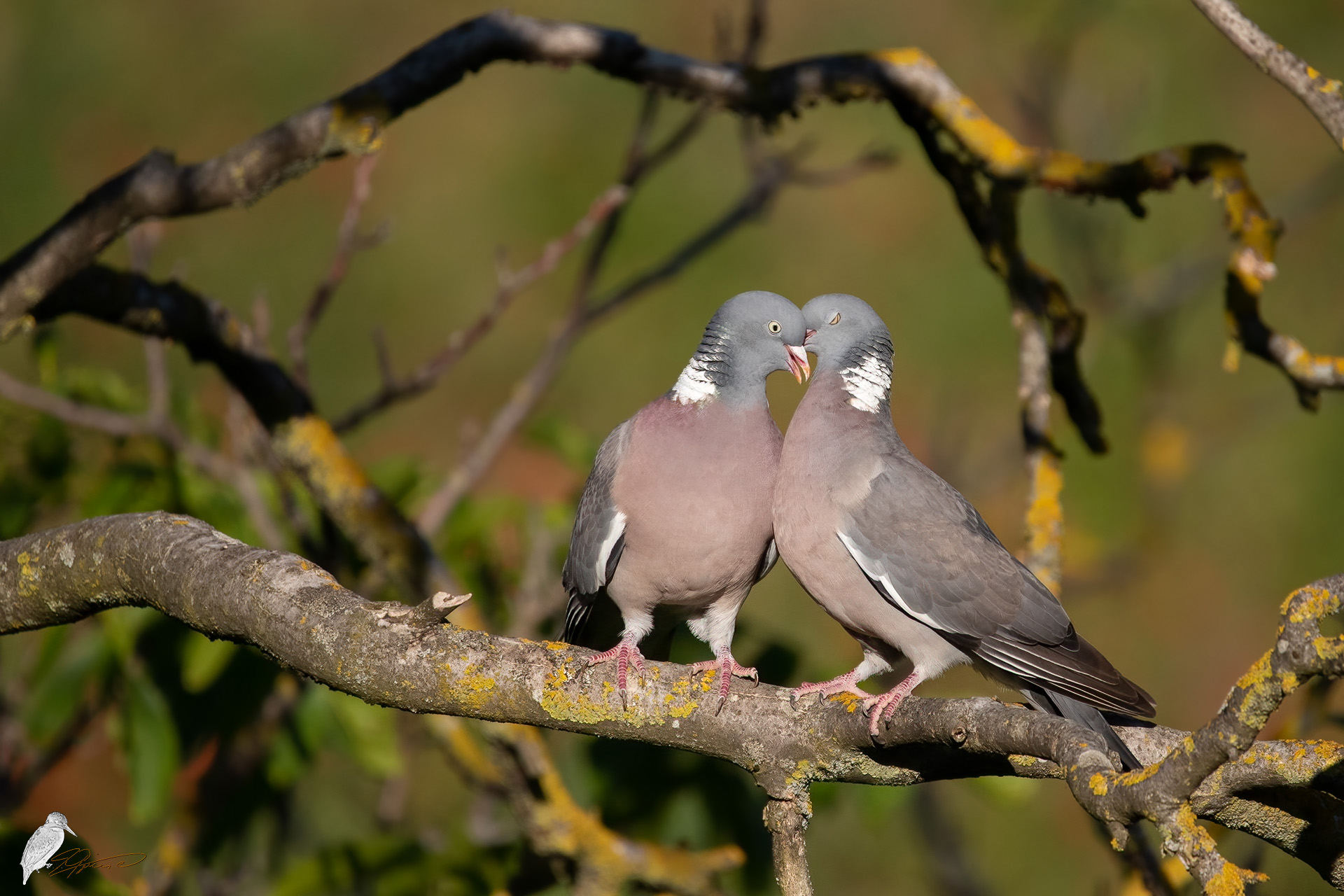 Liebe ist....