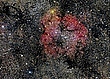 IC 1396 u. Herschels Granatstern