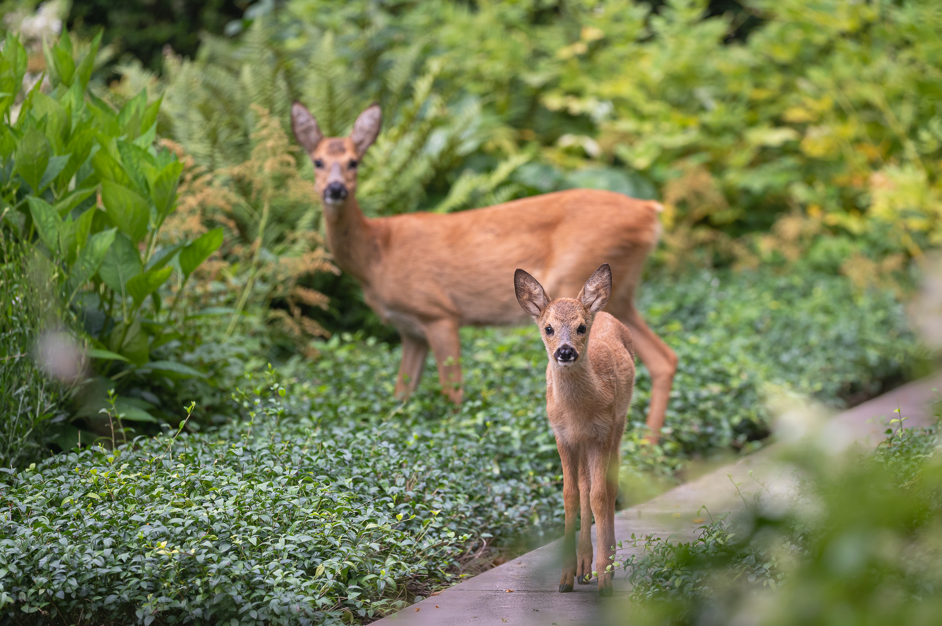 Morgens auf dem Friedhof