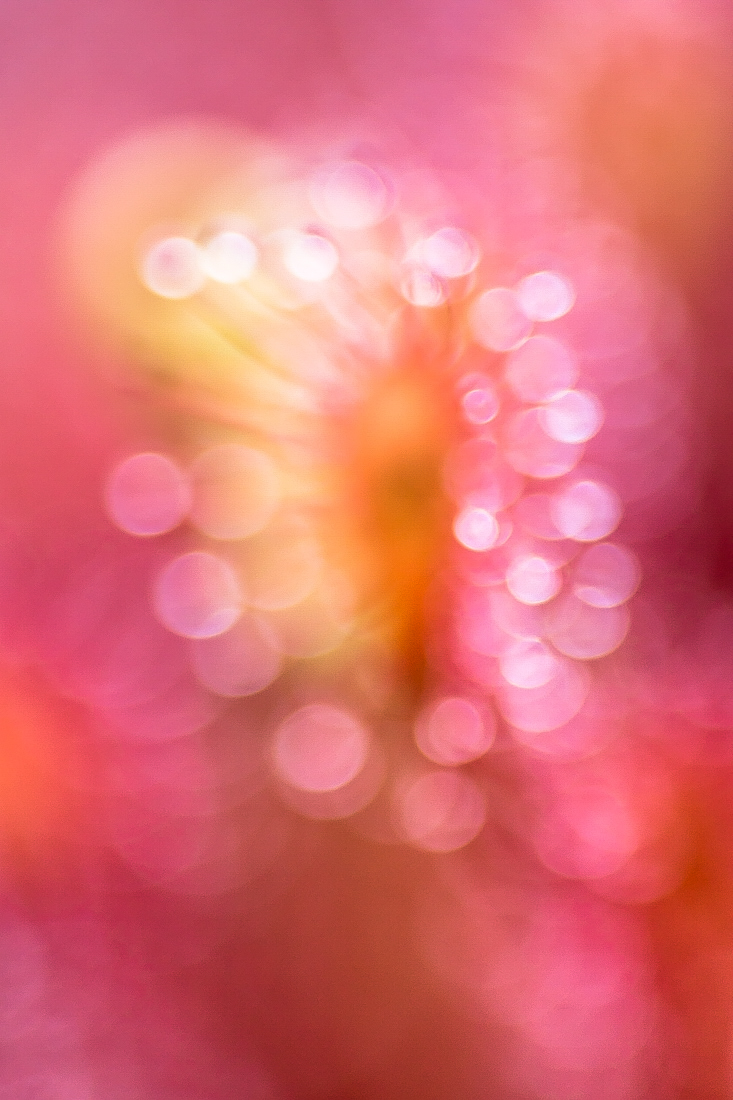 Glitzerwelt