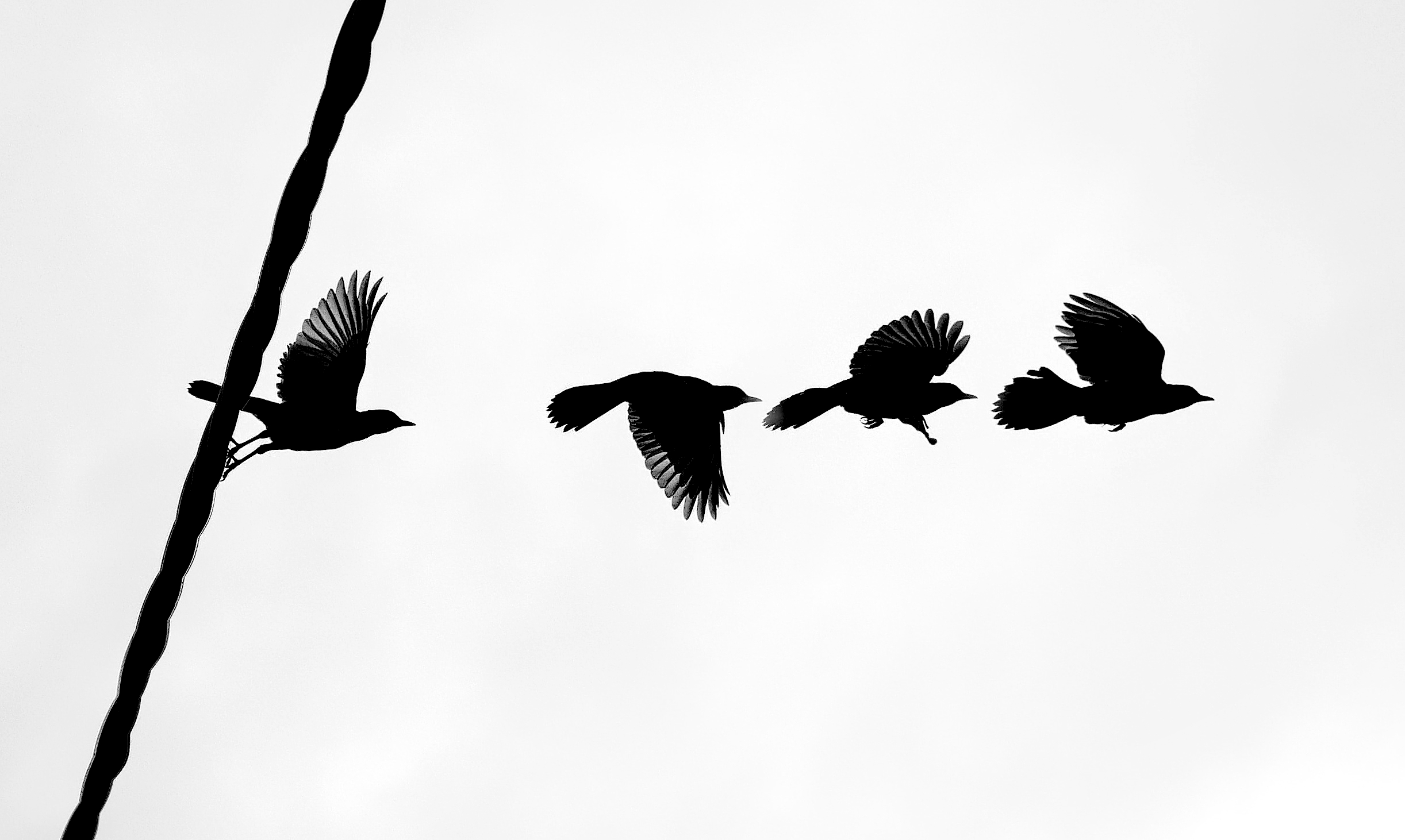 Take-off
