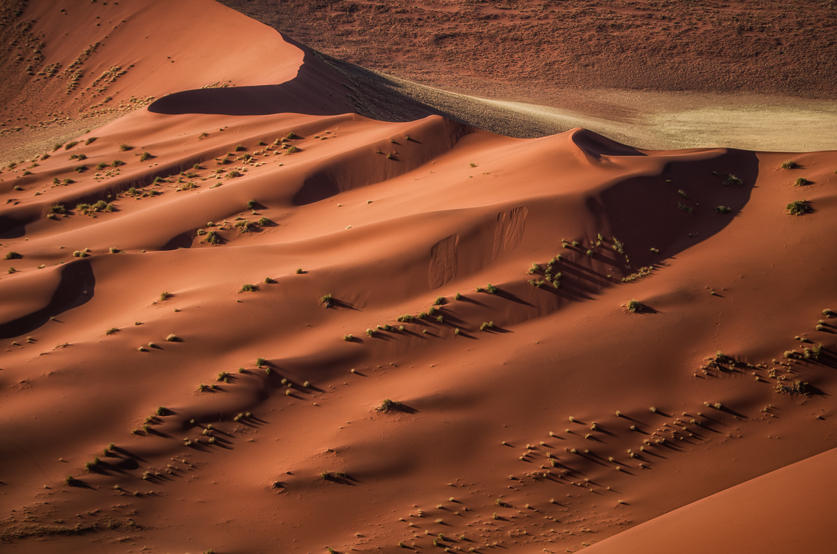 Wellen aus Licht und Sand