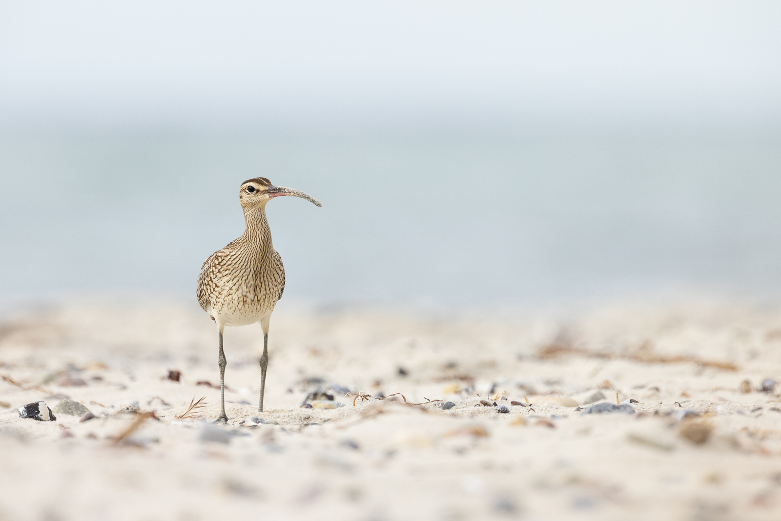 Strandleben
