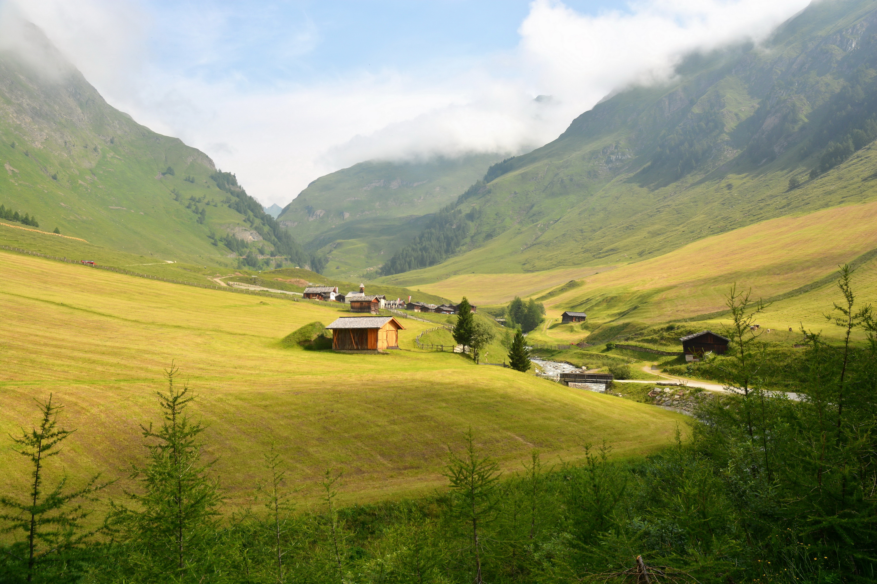 Fane - Alm