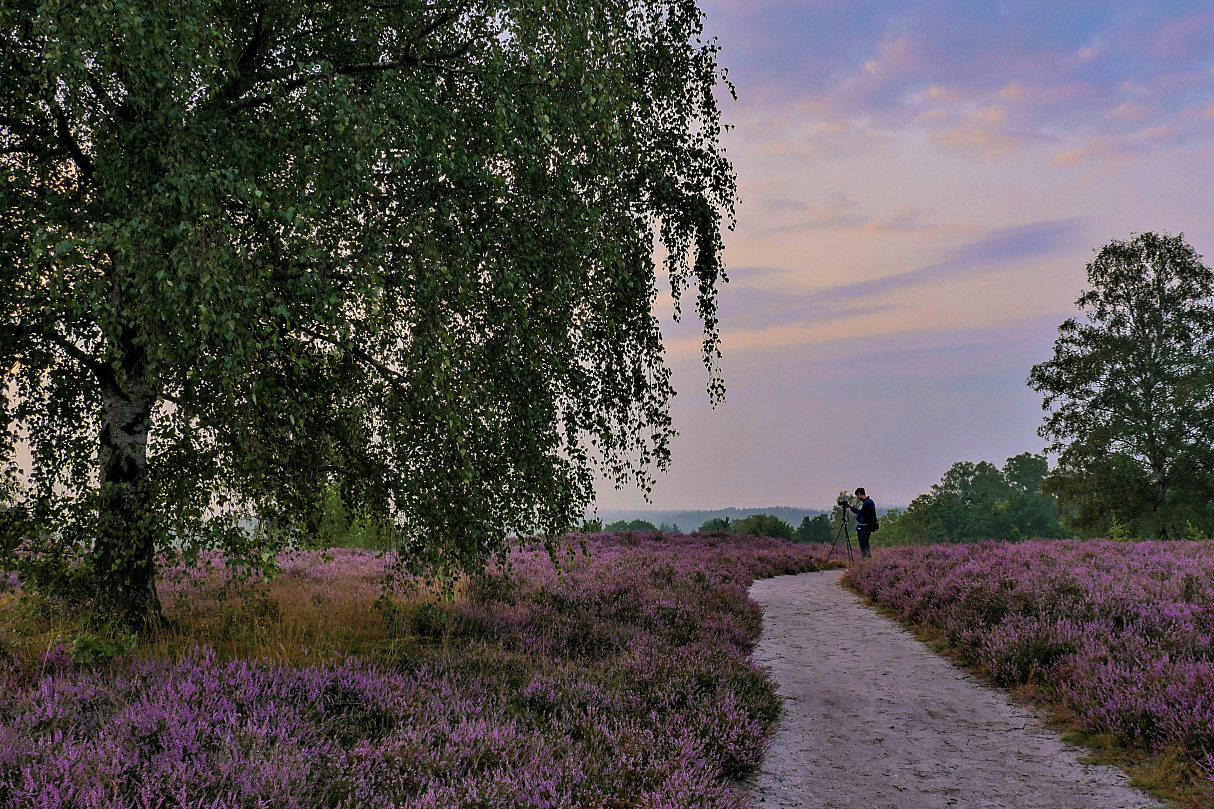 Der Fotograf und die Heide