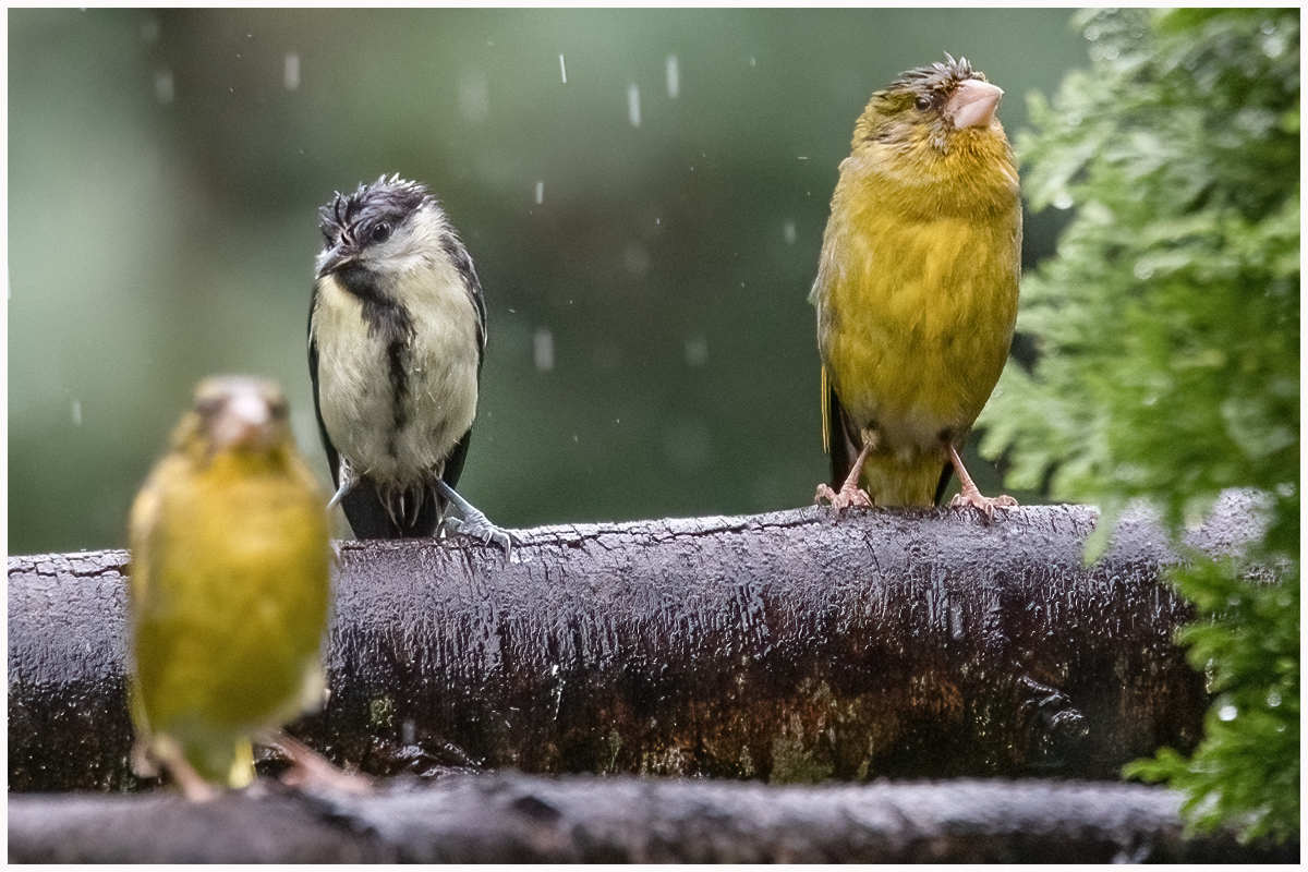 ... warten auf besseres Wetter ...