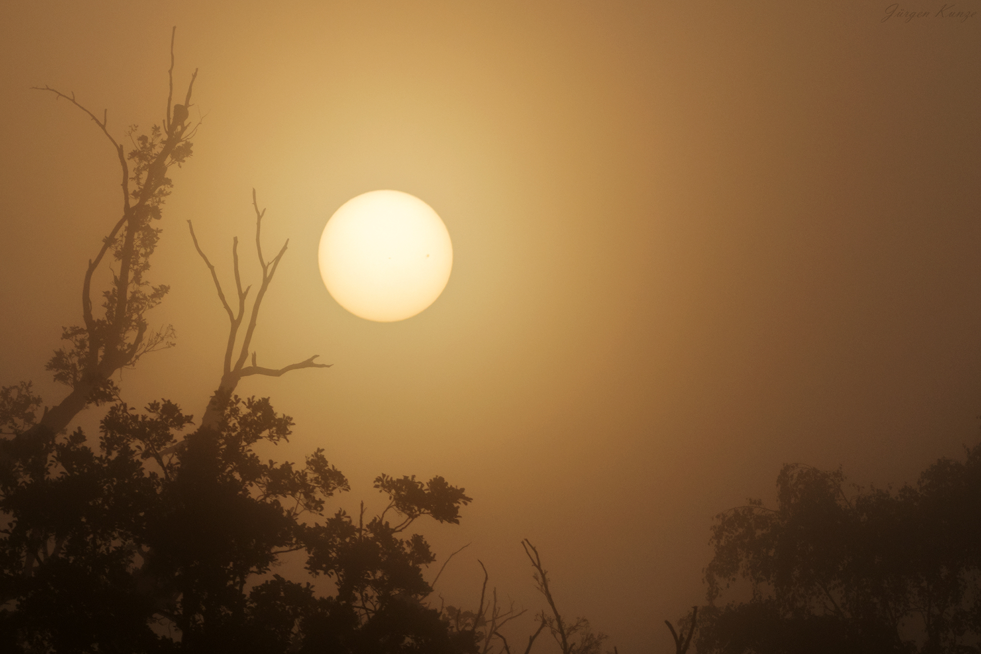 Sonnenaufgang im Nebel