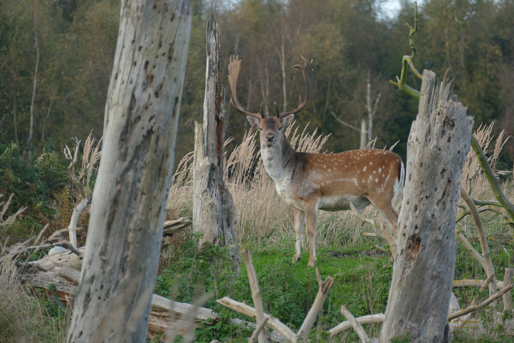 Der Blick zum Abschied