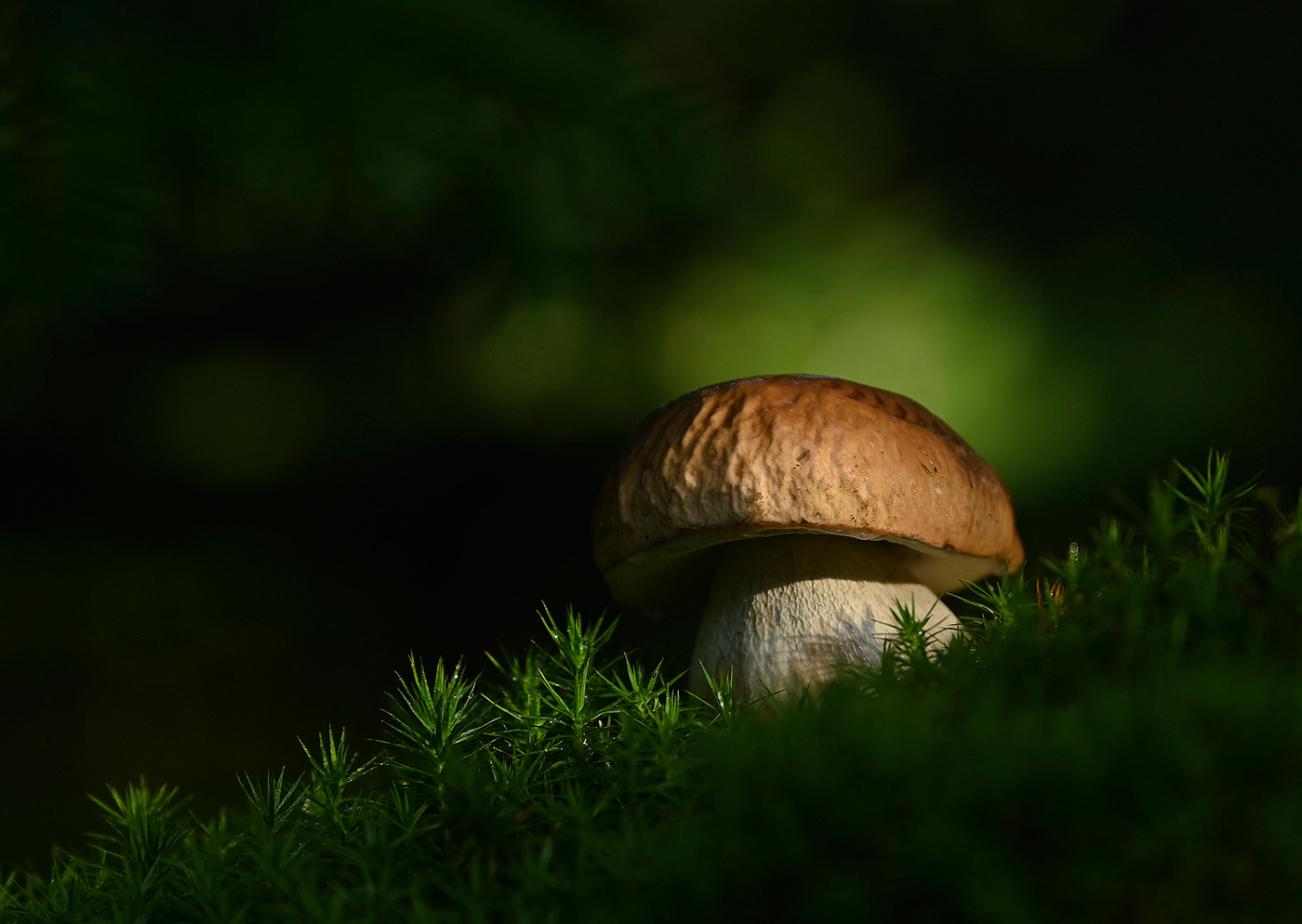 nach dem Regen
