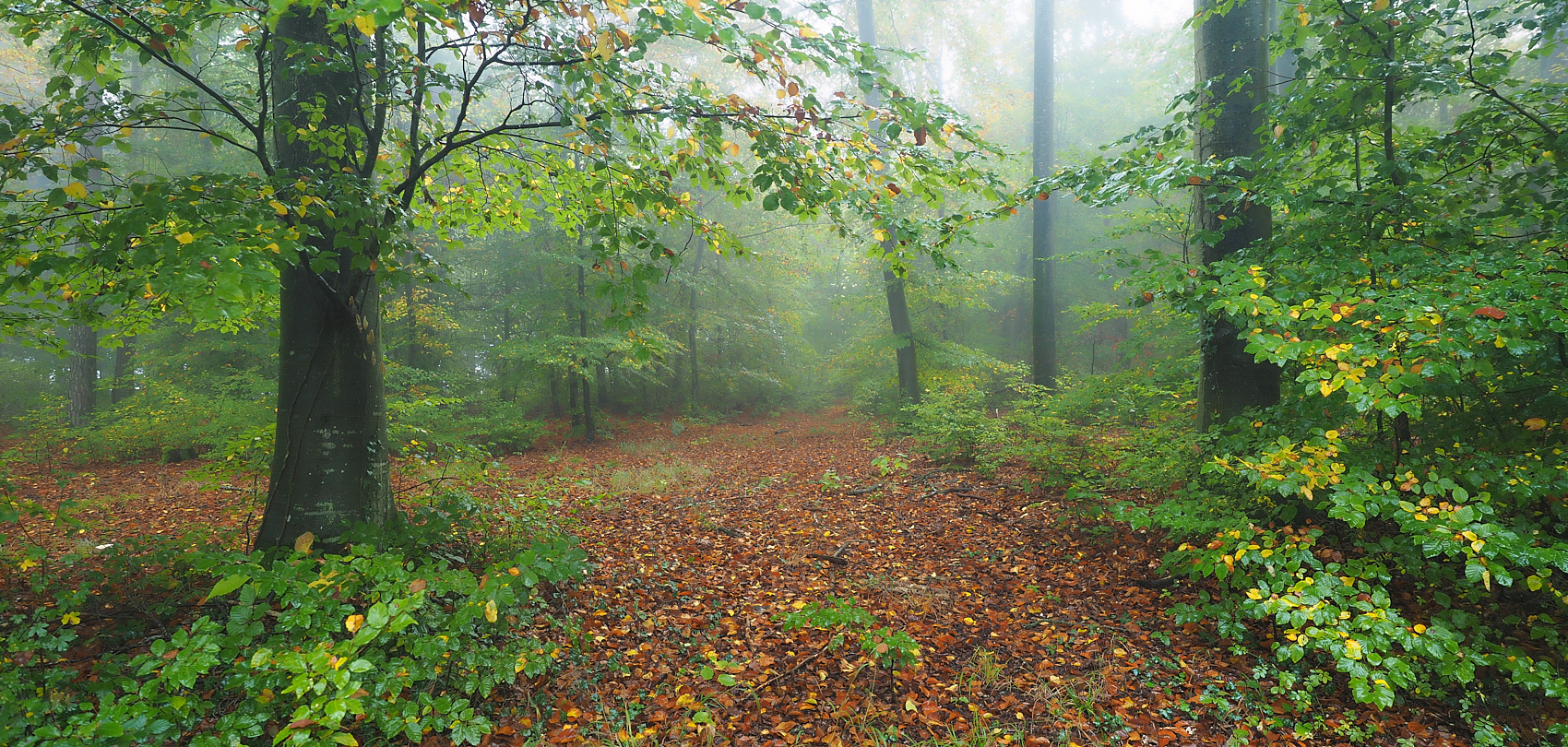 Es wird Herbst