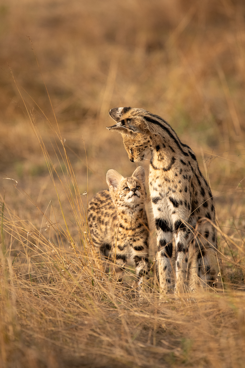 Mama ❤