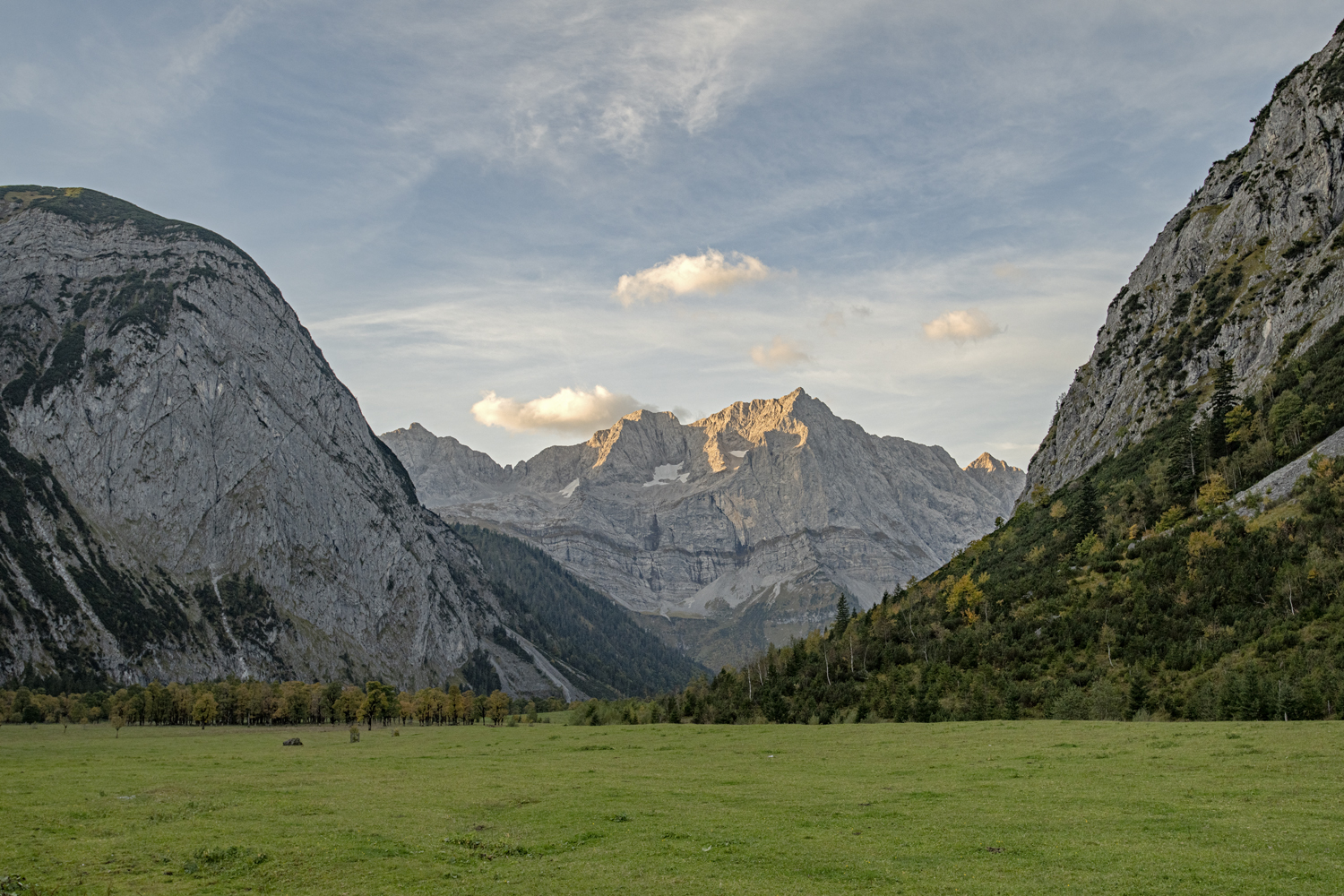 Der große Ahornboden