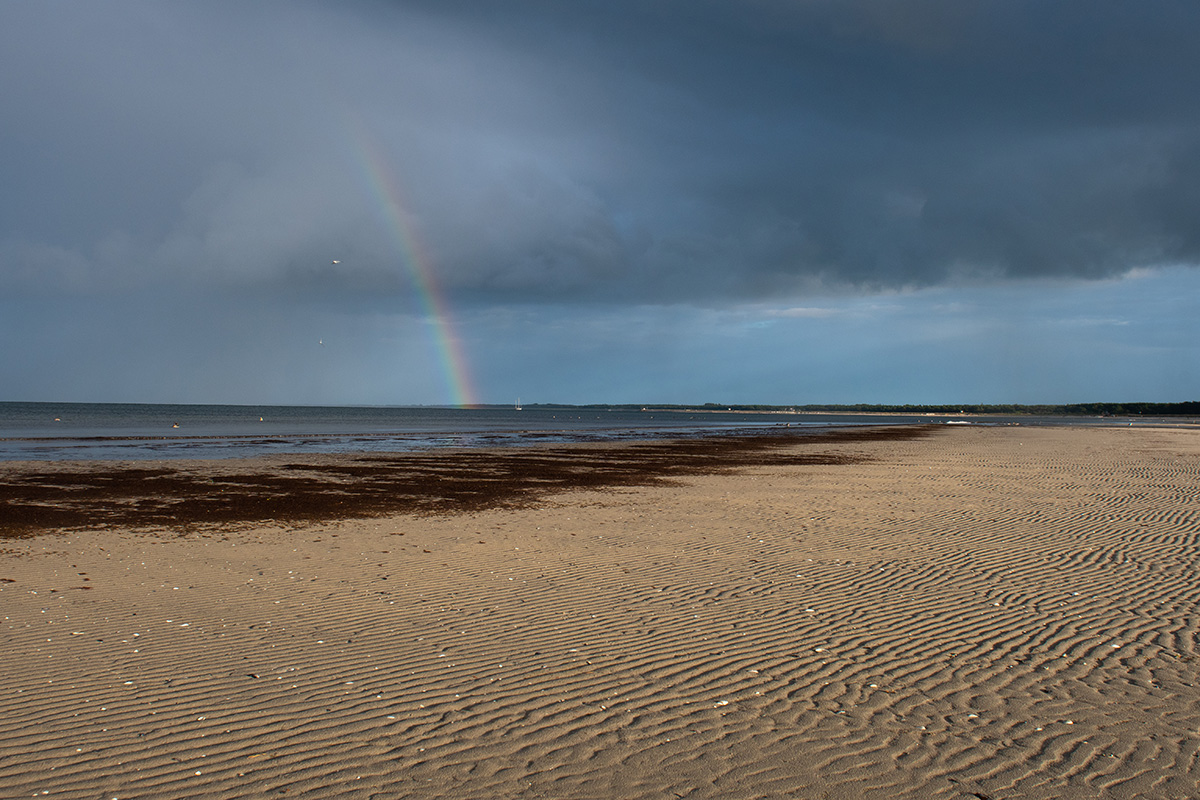 Am Limikolenstrand