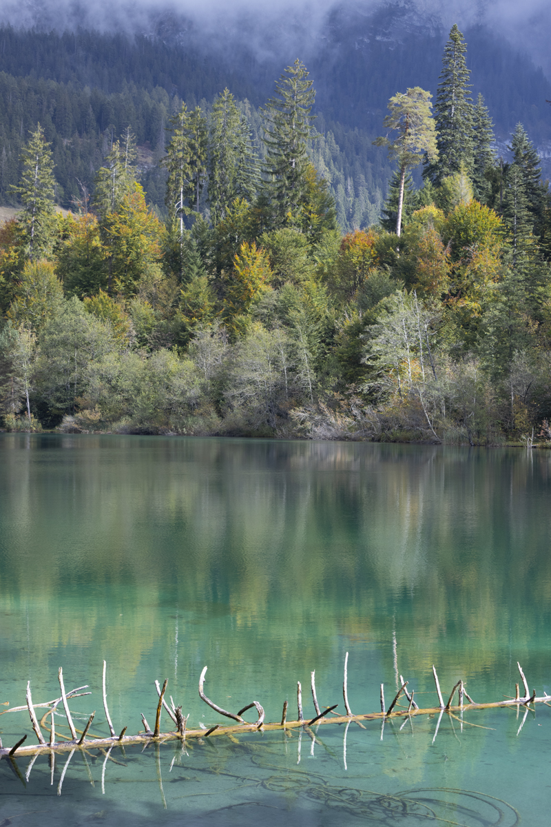 Cresta See