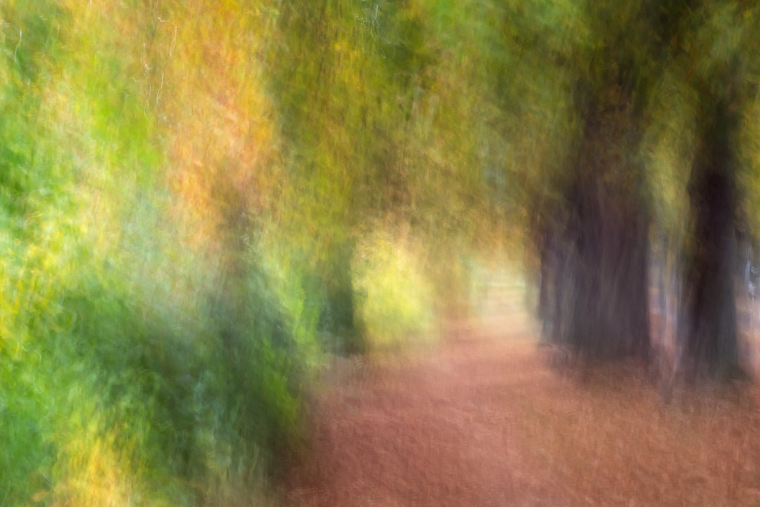 Herbstimpression