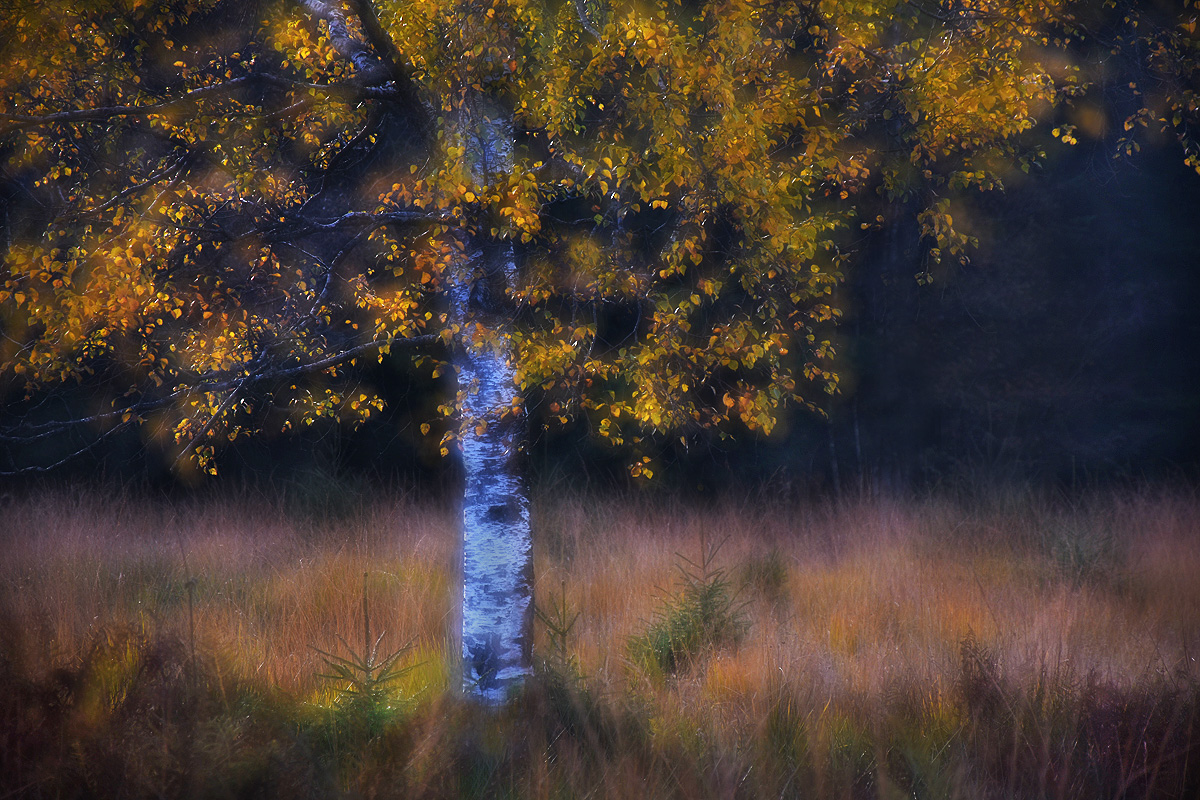 Herbstfarben ...,